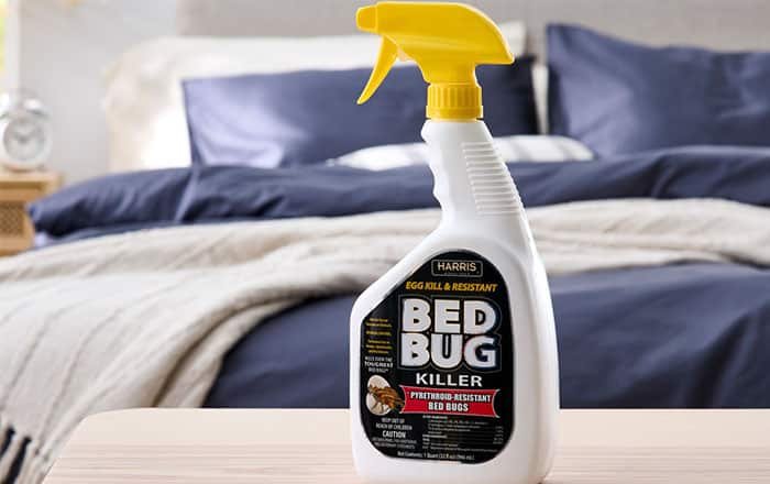 Chemical-Bed-Bug-Treatment-Methods