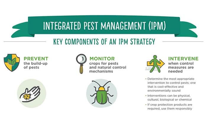Integrated-Pest-Management-IPM-Approach